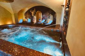 Le Sauvage Hôtel Restaurant & Spa - photo 27