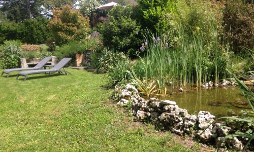 Le Sauvage Hôtel Restaurant & Spa - photo 3